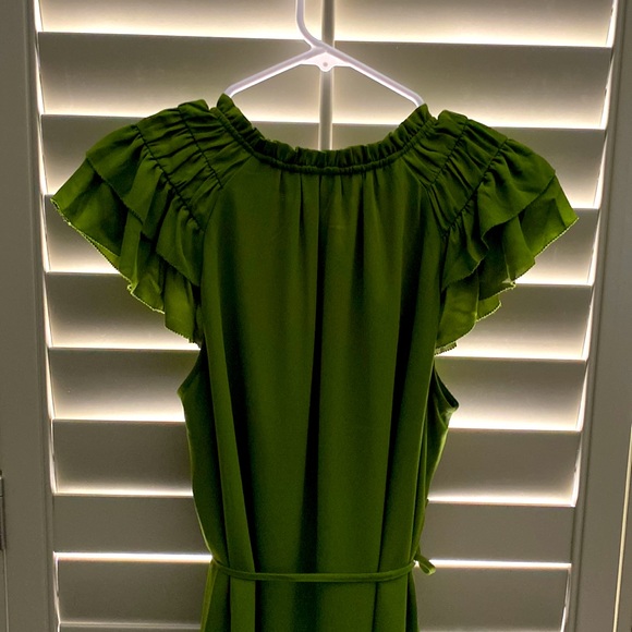 Lark & Ro Shift Dress - Picture 9 of 9